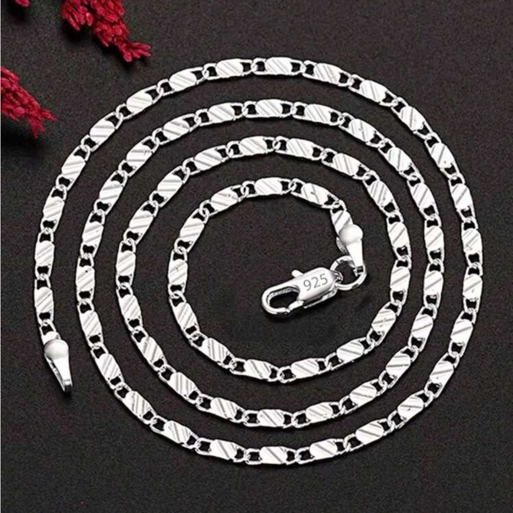 Silver Plated 20” Chain Necklace‎